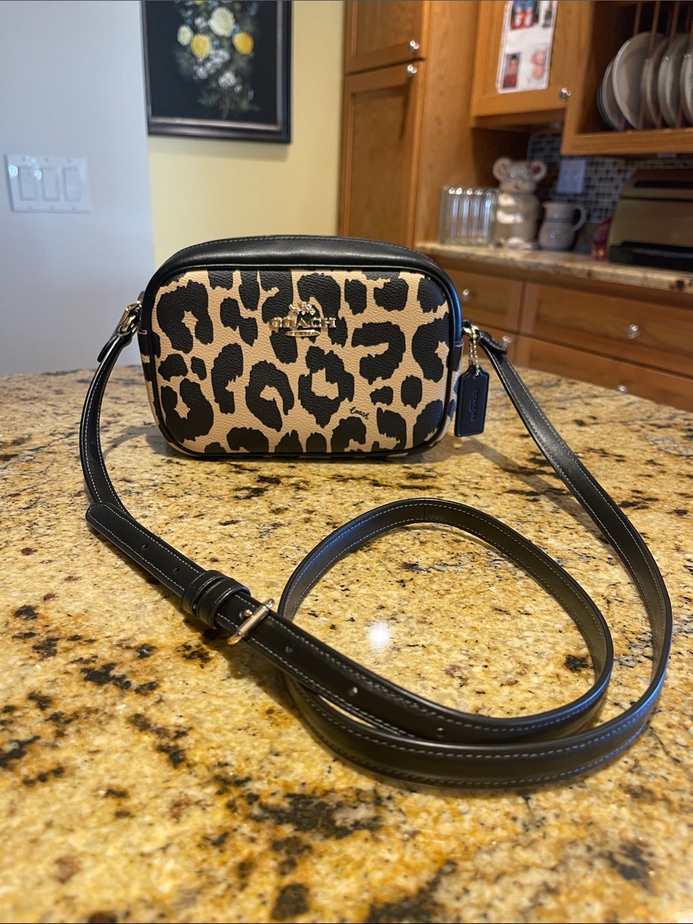 Coach Leopard Print Crossbody Bag in Black and Tan